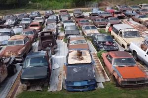 Wisconsin Collector Parts with Over 80 Vintage GM Cars